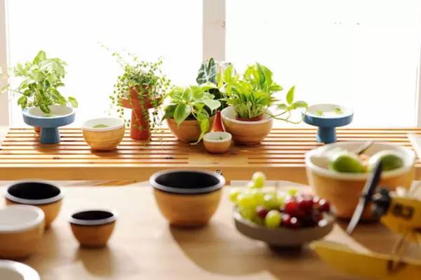 养花的9大误区,不要再“摧残”你家的植物了! 养花的9大误区,不要再“摧残”你家的植物了!