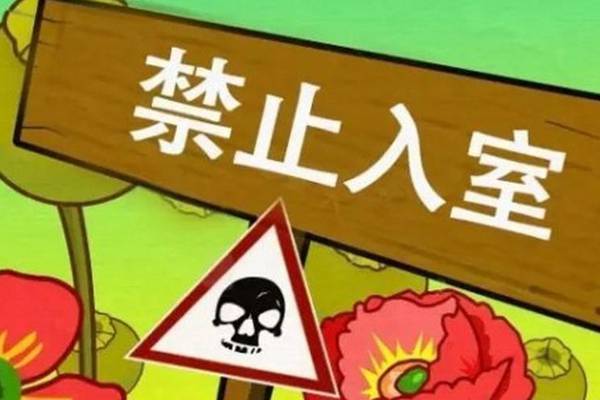 你意想不到的有毒植物 你意想不到的有毒植物
