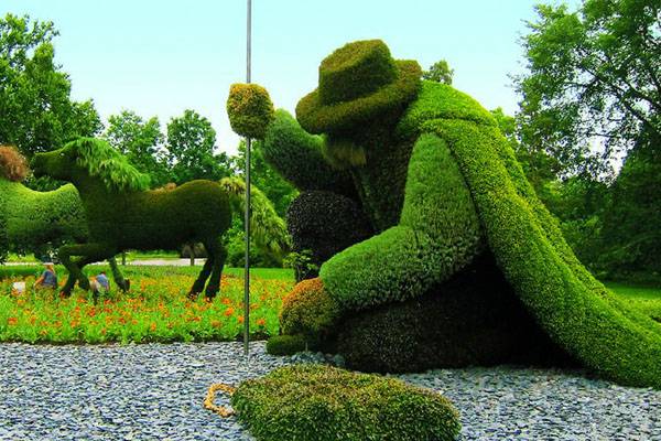「说实话」你们到底是动物还是植物 「说实话」你们到底是动物还是植物