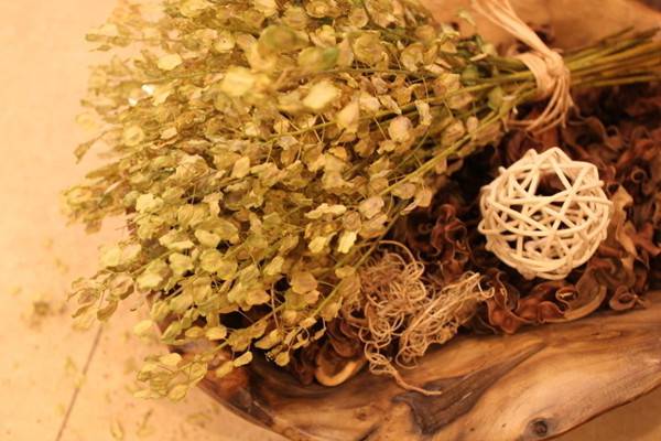 家里放上这些植物,省心省力 家里放上这些植物,省心省力