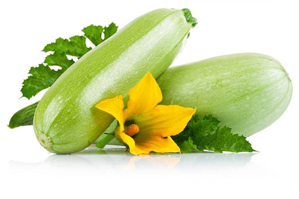 蔬菜开花也可以美炸天 蔬菜开花也可以美炸天