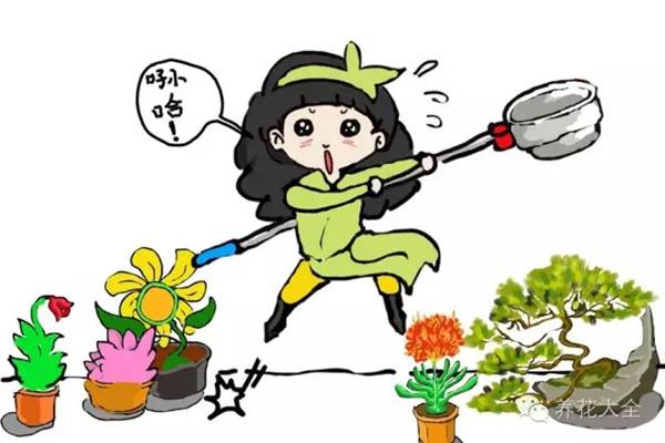 你花那么多钱养花,他一个塑料瓶就解决了 你花那么多钱养花,他一个塑料瓶就解决了
