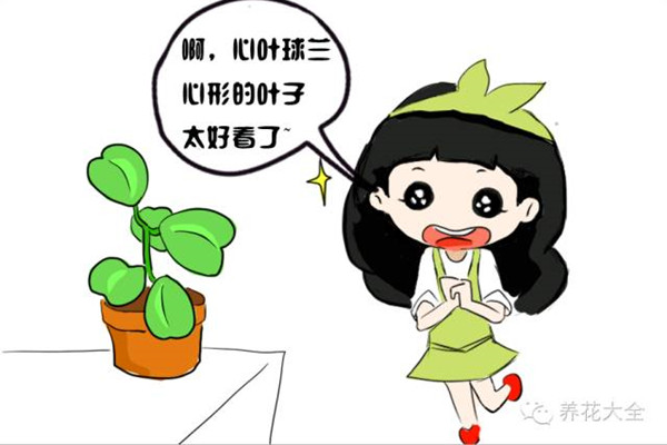 这花就算永远不开花,我也想养一万年 这花就算永远不开花,我也想养一万年