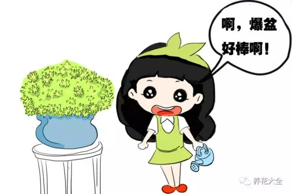 这些花个子小,爆起盆来却壮观无比 这些花个子小,爆起盆来却壮观无比