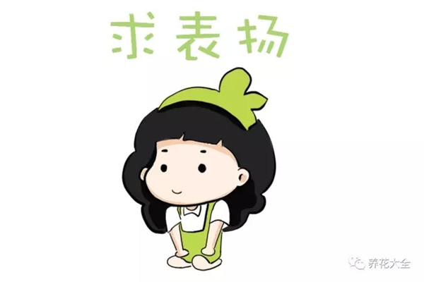 你扔掉的花她捡回家,几个月就爆盆啦 你扔掉的花她捡回家,几个月就爆盆啦