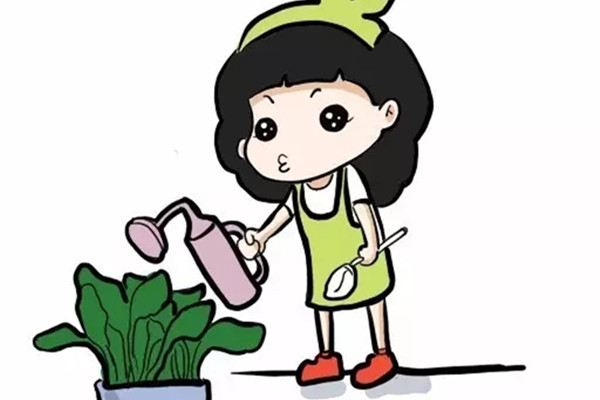 想要你的花安全度过春节,必须做到这5点 想要你的花安全度过春节,必须做到这5点