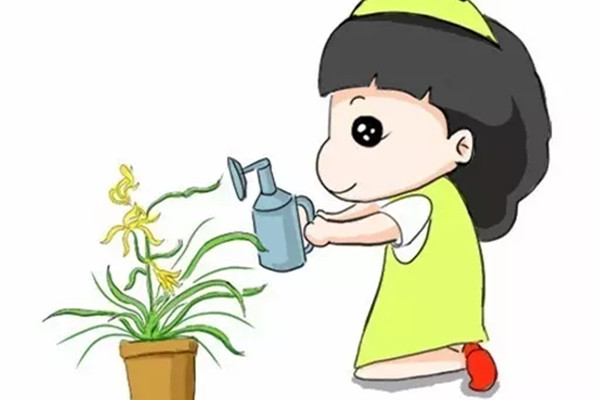 新手必看!养兰花的4大禁忌,不知道就亏大了 新手必看!养兰花的4大禁忌,不知道就亏大了
