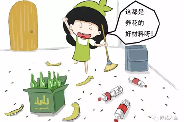 警惕!过年这些垃圾别扔!养花呀 警惕!过年这些垃圾别扔!养花呀