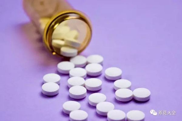 阿司匹林能拿来养花?你不是逗我的吧 阿司匹林能拿来养花?你不是逗我的吧