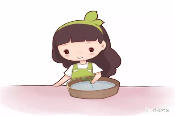 神奇的生根水,用了它,随便掐个枝就能生根,甚至爆盆! 神奇的生根水,用了它,随便掐个枝就能生根,甚至爆盆!