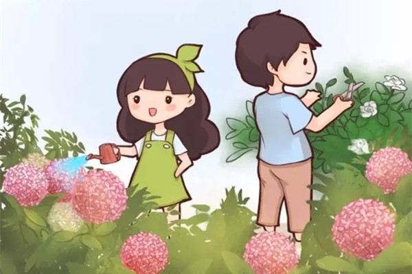如果我有一个小院子,一定要种上这些花,每天都有花赏 如果我有一个小院子,一定要种上这些花,每天都有花赏