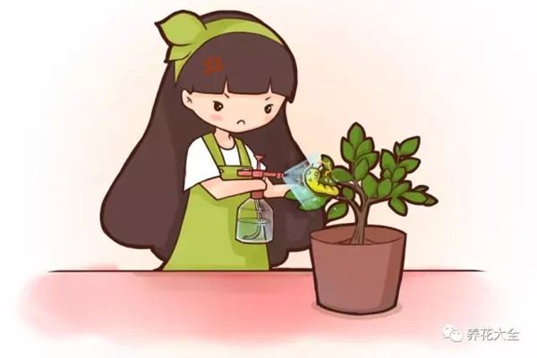 15种病虫害药物,在家就能做,再也不怕虫害了 15种病虫害药物,在家就能做,再也不怕虫害了