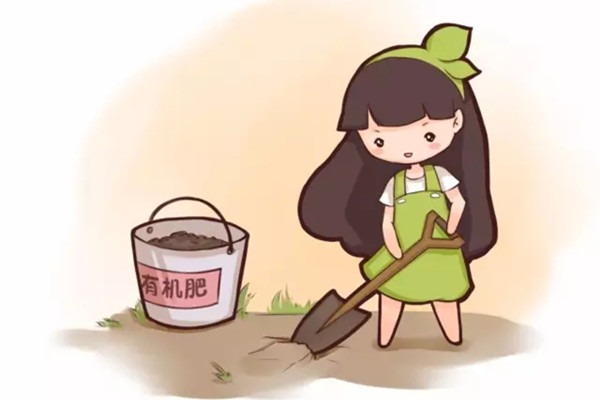 土里扔点儿这个,不施肥花也长得蹭蹭的 土里扔点儿这个,不施肥花也长得蹭蹭的
