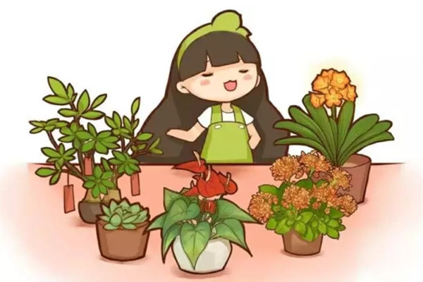 看你是什么人,适合养什么花 看你是什么人,适合养什么花
