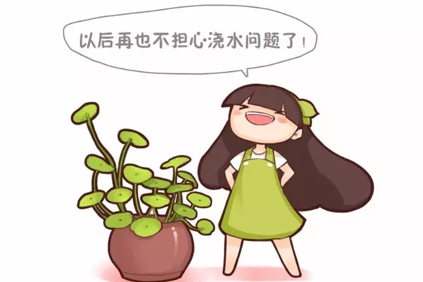这些花扔水里都能活,浇再多也没事儿 这些花扔水里都能活,浇再多也没事儿