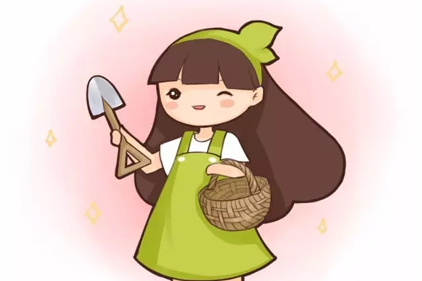 农村挖点野菜,美味营养还能养生 农村挖点野菜,美味营养还能养生