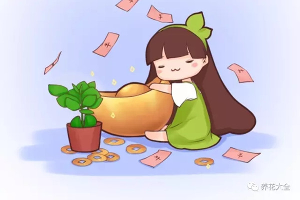 这10种招财花卉,有钱人都在种 这10种招财花卉,有钱人都在种