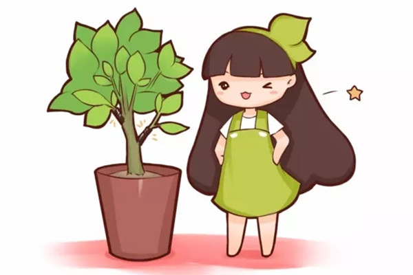 自制生根水太麻烦?这么做分分钟生根 自制生根水太麻烦?这么做分分钟生根