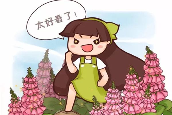 花开成串,这些花可比开爆盆好看多了 花开成串,这些花可比开爆盆好看多了