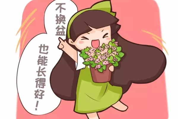 他养花十年没换过盆,年年花开满枝,只因为做了这个 他养花十年没换过盆,年年花开满枝,只因为做了这个