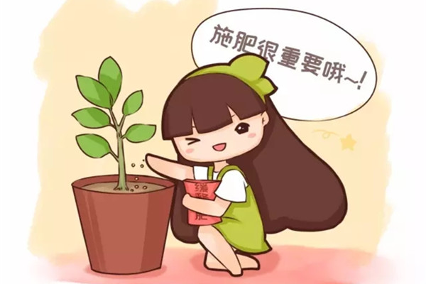 你的花老是发黄病殃殃?是因为少做了这件事 你的花老是发黄病殃殃?是因为少做了这件事