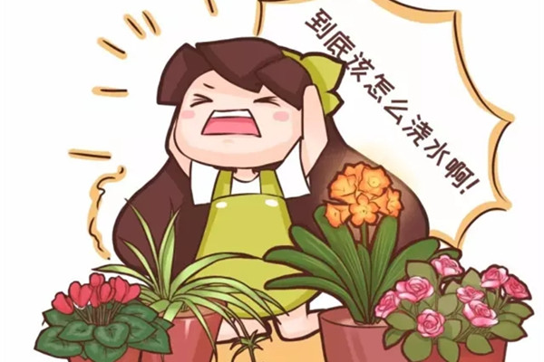 养花不懂浇水,你的花分分钟要死了 养花不懂浇水,你的花分分钟要死了