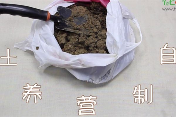 自制营养土视频:这三种生活垃圾,可以制作营养土 自制营养土视频:这三种生活垃圾,可以制作营养土