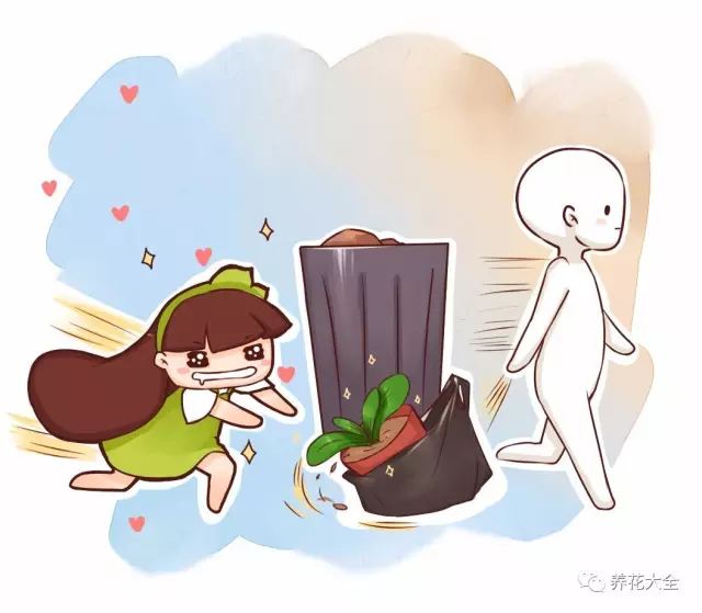 别人扔花老婆捡花,养到爆盆也是服气 别人扔花老婆捡花,养到爆盆也是服气