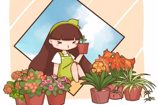 20种常见花卉的养殖技巧 20种常见花卉的养殖技巧