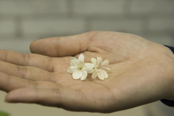 这些花不仅颜值高,而且还能帮你美容养颜 这些花不仅颜值高,而且还能帮你美容养颜