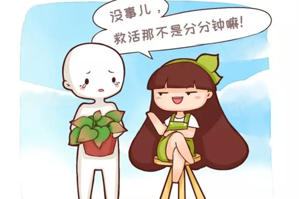 快死的绿萝别扔,1分钟让它起死回生 快死的绿萝别扔,1分钟让它起死回生
