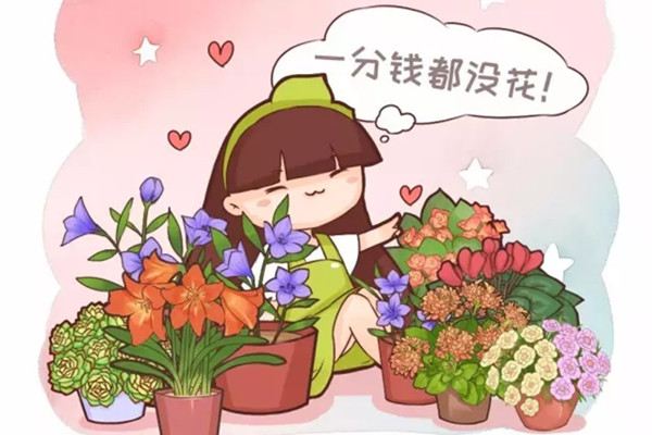 这样养花,1分钱都不花,服了 这样养花,1分钱都不花,服了