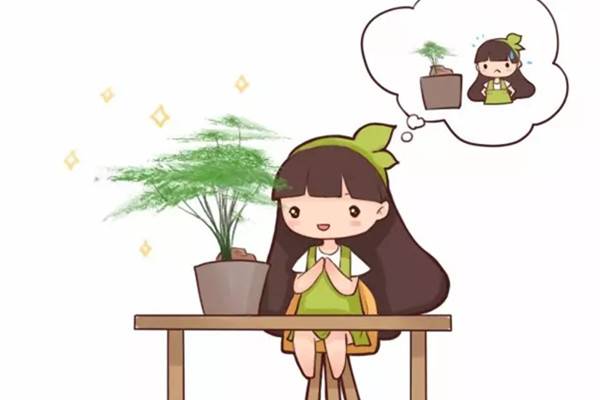 吊兰文竹发财树...总是黄叶?学会这几招,养10年都不黄叶 吊兰文竹发财树...总是黄叶?学会这几招,养10年都不黄叶
