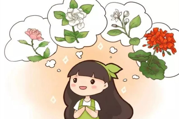 这些香味十足的花,放在家里最合适了 这些香味十足的花,放在家里最合适了