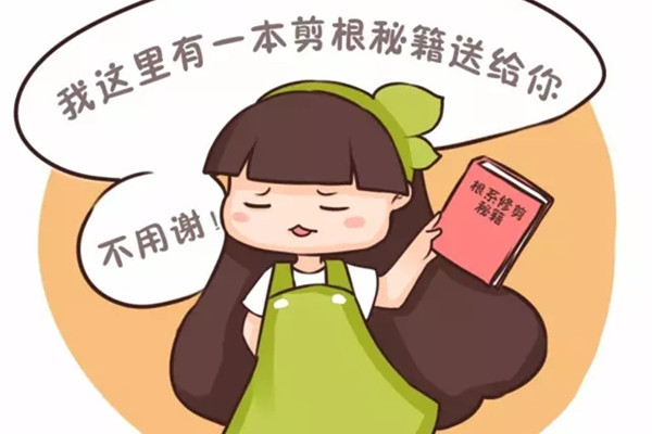 多肉和发财树烂根?别扔,剪就可以 多肉和发财树烂根?别扔,剪就可以