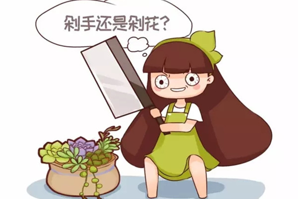 这才是养花人该用的表情包,原先的赶紧删了吧 这才是养花人该用的表情包,原先的赶紧删了吧