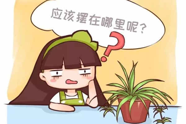 卧室客厅养花,养不对危害家人健康,不看后悔 卧室客厅养花,养不对危害家人健康,不看后悔