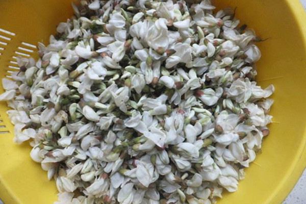 5月槐花香,各种吃法,款款让你流口水! 5月槐花香,各种吃法,款款让你流口水!