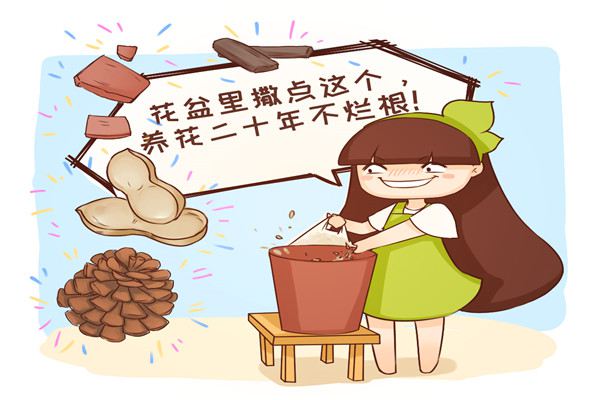 花烂根必死,撒点这个,却能活20年! 花烂根必死,撒点这个,却能活20年!