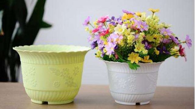花盆有哪些种类 花盆有哪些种类