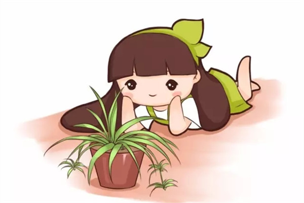 夏天扦插老不活,学会这几种方法,插啥活啥! 夏天扦插老不活,学会这几种方法,插啥活啥!