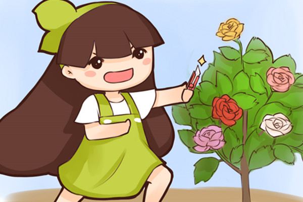 花期最长的10种月季,种一棵赏大半年 花期最长的10种月季,种一棵赏大半年
