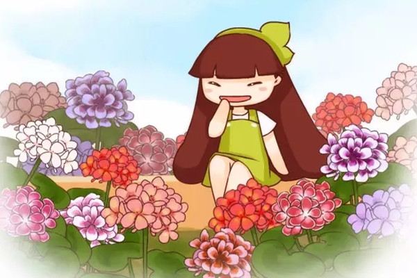 她家只种一种花,却美过别人一个花园 她家只种一种花,却美过别人一个花园