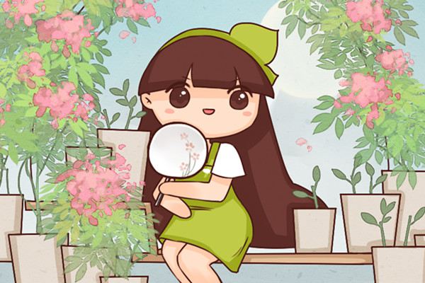 他只用1根枝条,就养出了100盆花 他只用1根枝条,就养出了100盆花