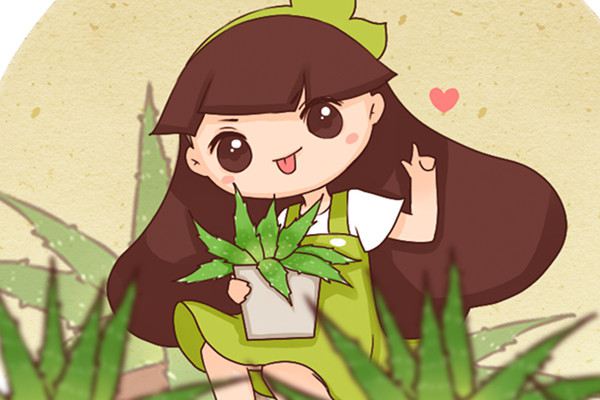 治病美容炒菜吃,这种花养一阳台都不嫌多 治病美容炒菜吃,这种花养一阳台都不嫌多