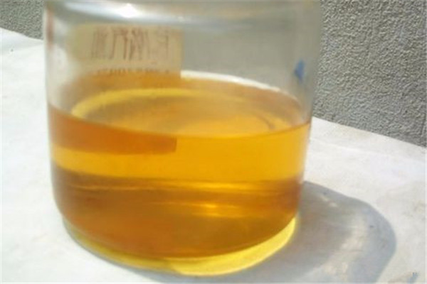盆里滴1滴油,花1个月爆盆,10年不黄叶 盆里滴1滴油,花1个月爆盆,10年不黄叶
