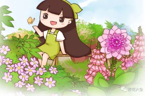 给花吃点肉喝点酒,保准越来越旺! 给花吃点肉喝点酒,保准越来越旺!