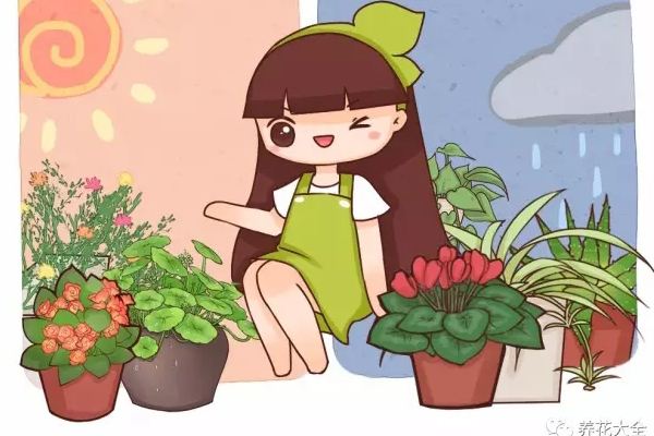 再便宜也别买,这4种花剪个枝,很快就长一大盆! 再便宜也别买,这4种花剪个枝,很快就长一大盆!