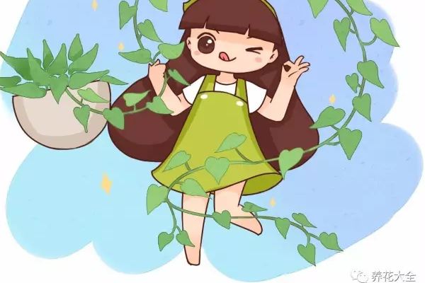 用了这3招,绿萝疯长100米,截断能插100盆! 用了这3招,绿萝疯长100米,截断能插100盆!