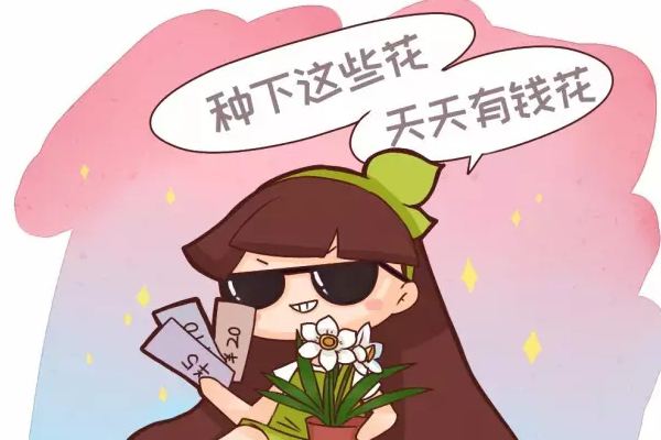 人民币上的花,养一盆,天天有钱花! 人民币上的花,养一盆,天天有钱花!
